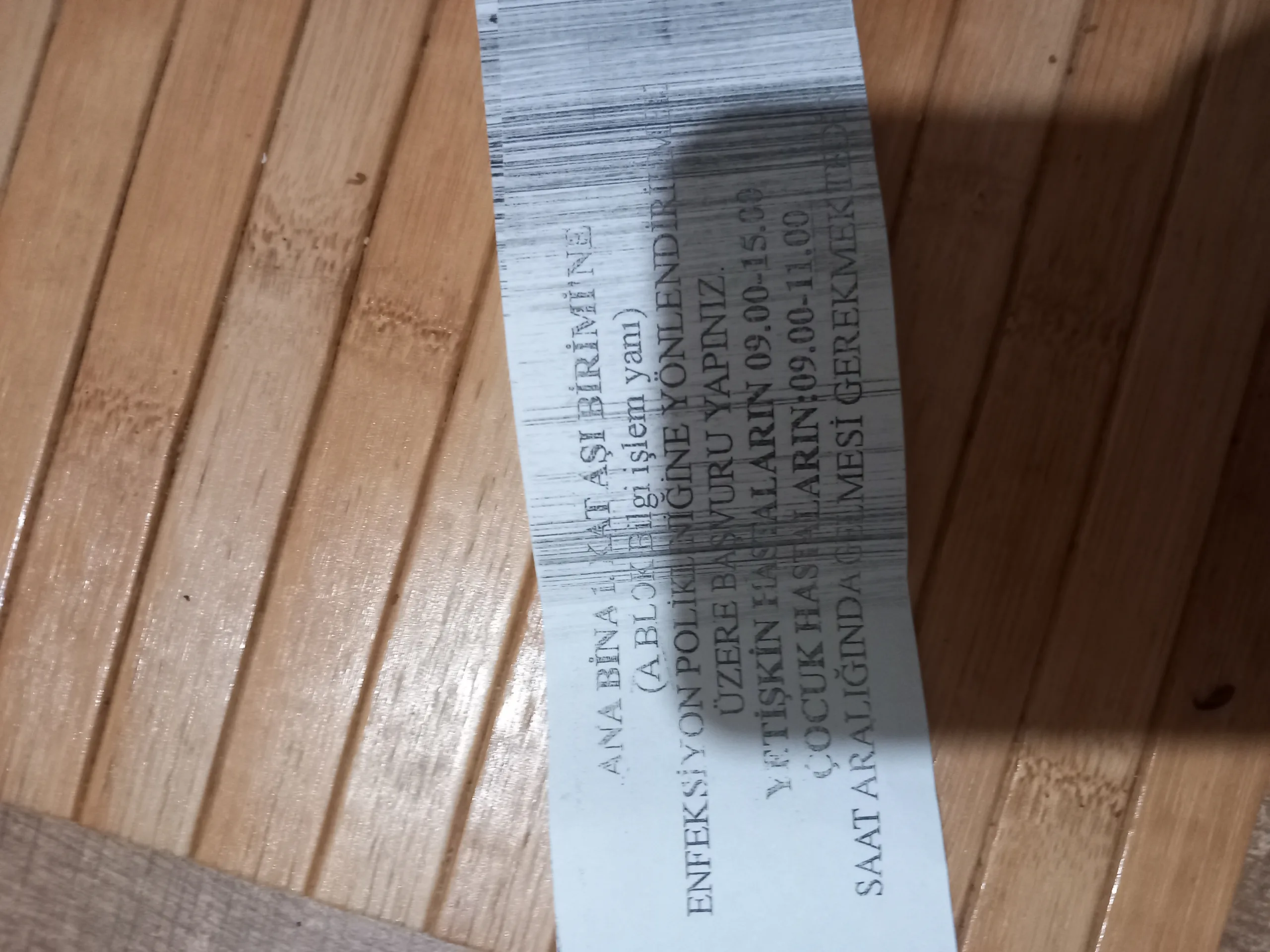1000041177.jpg